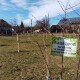 У Ковелі створили алею пам’яті українців, які загинули від рук окупанта