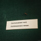 «Партизанські» місця Волині. Чи живі? Що там нині? ГАЙДА В МАНДРИ