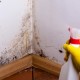 У Ковелі квартири багатоповерхівки повністю вкрилися цвіллю
