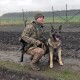 Як на Волині охороняють кордон із Польщею та Білоруссю. ВІДЕО