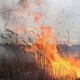 Щороку у волинському селі горять торф'яники. Луцька райрада шукає рішення