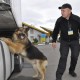 На «Ягодині» собаки винюхали наркотики у 19-річного хлопця