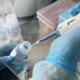 Коронавірус в Україні: рекордні кількості нових хворих і померлих