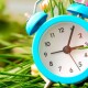 Україна переходить на літній час. Куди і коли переводити стрілки годинників