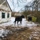 Зниклі села, 300-річна церква та величезні каньйони: історія подорожі Шацьким краєм. ФОТО