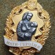 Трьом волинянкам присвоїли звання «Мати-героїня»