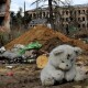 Через російську агресію в Україні загинула 191 дитина
