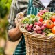 Депутати Луцької райради проти оподаткування продукції, зібраної на ділянці понад 50 сотих