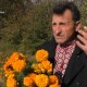Де були бур'яни – там тепер квіти. Волинянин засадив соняхами і чорнобривцями 700 кілометрів узбіч