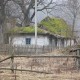 Неіснуюче село, дика природа та старий цвинтар:  історія подорожі волинським Поліссям. ФОТО
