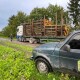 На Волині виявили незаконну вирубку лісу