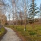 Фахівці розповіли, чому тепла зима