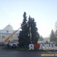 У Луцьку вже прикрашають ялинки
