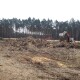 Як копають бурштин на Волині. Показали фото