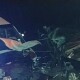 Восьмеро волинян травмувалися в аварії на трасі Київ-Чоп, четверо з яких – неповнолітні