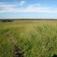 На Волині державі повернули землю вартістю 60 мільйонів гривень