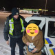У Рівному загубилася 82-річна бабуся з Луцька. Патрульні двох областей об'єдналися, аби їй допомогти