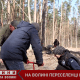 На Волині переселенці висадили три тисячі дерев