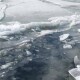 Лікарі розповіли про стан двох хлопців, які провалились під кригу на Ковельщині