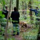 У лісі на Волині виявили тіло 79-річної жінки