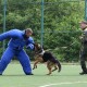 «Коли стану дорослим, хочу бути військовим»: нацгвардійці влаштували свято луцьким школярам