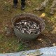 Ловив рибу сітками: на Волині викрили  55-річного браконьєра