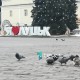 Ранок Нового року у центрі Луцька. ФОТО