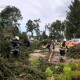 Пошкоджені дахи та повалені дерева. В селі на Волині ліквідовують наслідки буревію