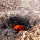 На Волині мешканці села Ржищів потерпають від торф’яних пожеж