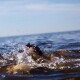 У Луцьку ледь не потонула 13-річна школярка