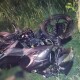 Влетів у дерево: на Волині в аварії загинув мотоцикліст