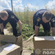 На околиці Рівного виявили конопляне поле площею 2 гектари