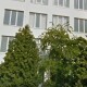 Ще один факультет ВНУ перейшов на дистанційне навчання