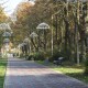 У Луцьку в Центральному парку встановлять 80 відеокамер
