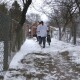 «Безплатно і планово». Як на Волині вдома обстежують жителів старших за 80 років