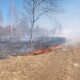 На Волині за кілька днів вигоріло понад 1000 га площі