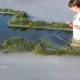 Водохрещенські купання на Старовижівщині. ФОТО