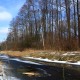 Шацький національний парк опублікував чудові світлини зимової природи. ФОТО