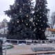 Свята закінчилися: з ялинок у центрі Луцька знімають прикраси. ФОТО
