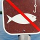 З першого квітня у Луцьку не можна буде ловити рибу