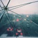 Тепло, але з дощем: якою буде погода у Луцьку 20 лютого