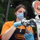 У центрі Луцька безкоштовно пригощають мохіто і квасом