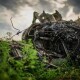 Інтенсивність застосування ворожої авіації знижена. Зведення Генштабу ЗСУ