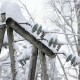 На Волині внаслідок негоди повністю знеструмлено 67 сіл