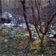 З Камінь-Каширської міськради стягнуть майже 130 тисяч гривень за сміття на ділянці