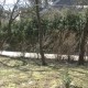 У Луцьку мешканці «воюють» із комунальниками за зелену зону. ВІДЕО