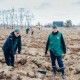 Як на Волині відновлювали ліс. ФОТО. ВІДЕО