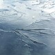 На Волині у водоймі тонули діти. Один хлопчик загинув, ще двох – реанімують
