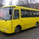 «Водії волинських маршруток масово висаджують пільговиків», – депутат