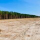 «Ситуація є кричущою». На Камінь-Каширщині пошкодили значні площі лісу